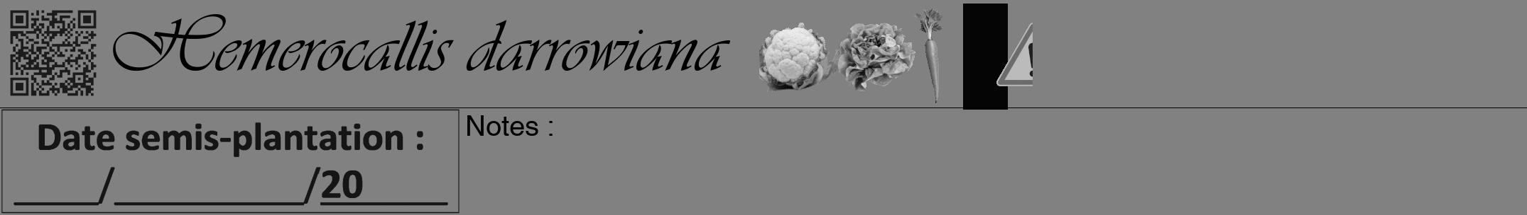 Étiquette de : Hemerocallis darrowiana - format a - style noire50viv avec qrcode et comestibilité simplifiée