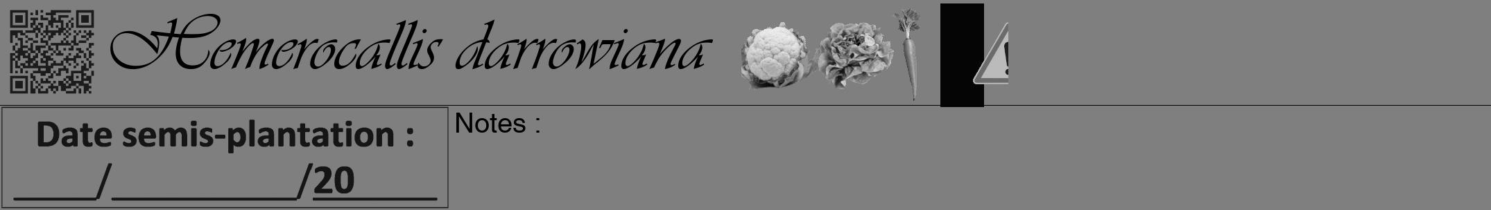 Étiquette de : Hemerocallis darrowiana - format a - style noire57viv avec qrcode et comestibilité simplifiée
