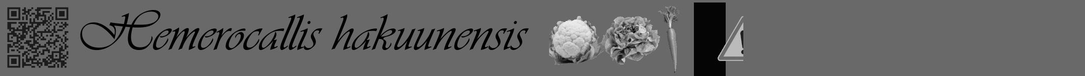 Étiquette de : Hemerocallis hakuunensis - format a - style noire51simpleviv avec qrcode et comestibilité simplifiée