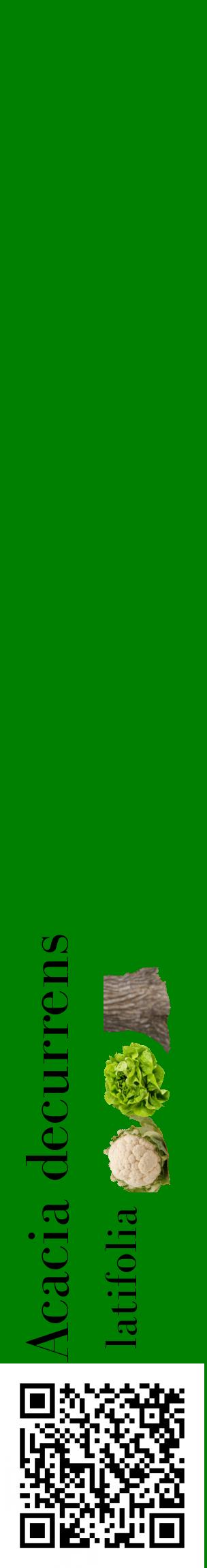 Étiquette de : Acacia decurrens latifolia - format c - style noire9_basiquebod avec qrcode et comestibilité simplifiée