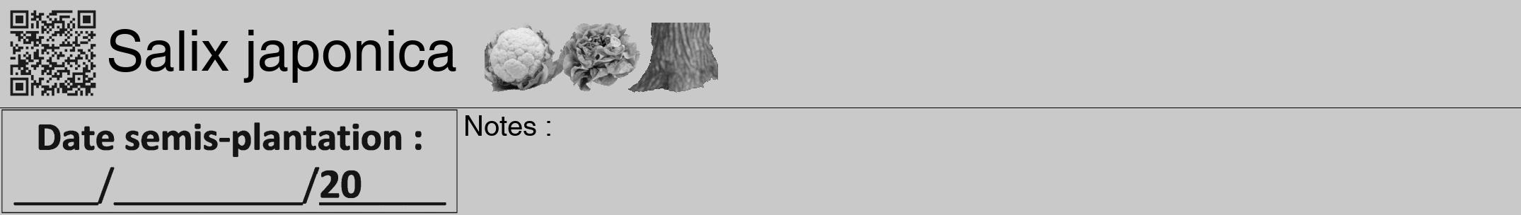Étiquette de : Salix japonica - format a - style noire54hel avec qrcode et comestibilité simplifiée