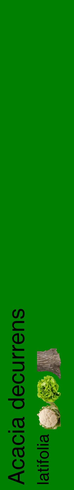 Étiquette de : Acacia decurrens latifolia - format c - style noire9_basiquehel avec comestibilité simplifiée