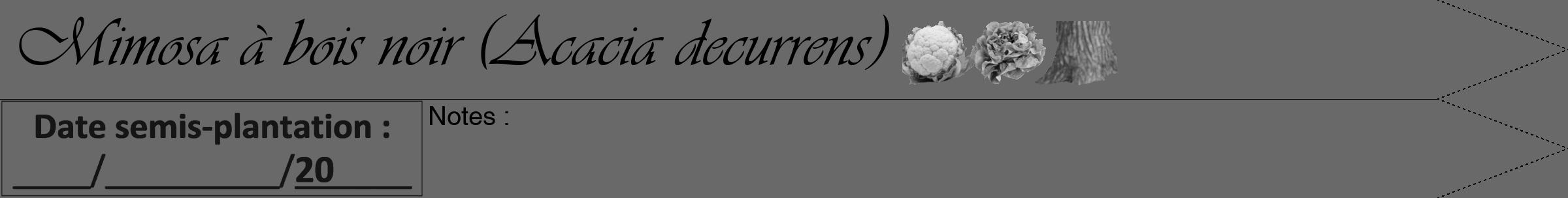 Étiquette de : Acacia decurrens - format a - style noire11simpleviv avec comestibilité simplifiée