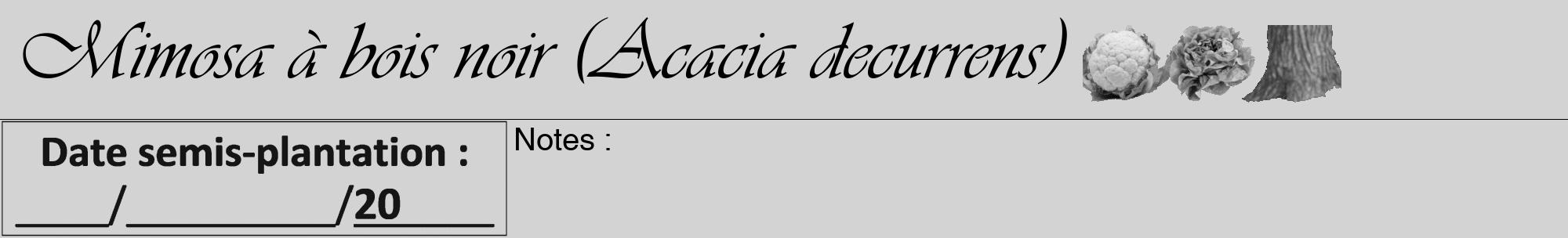 Étiquette de : Acacia decurrens - format a - style noire56viv avec comestibilité simplifiée
