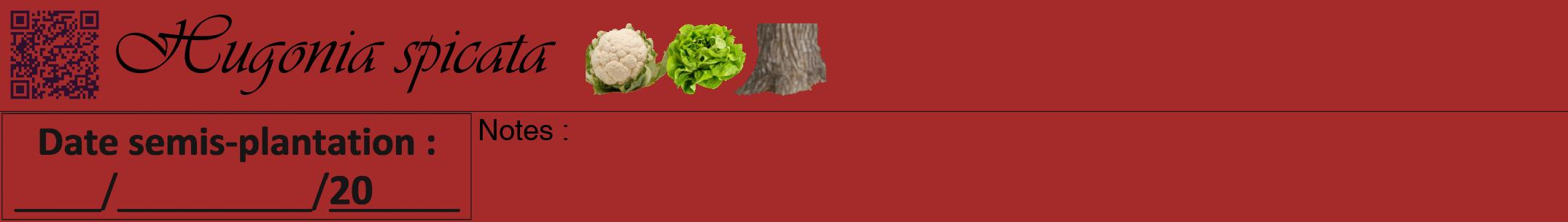 Étiquette de : Hugonia spicata - format a - style noire33simpleviv avec qrcode et comestibilité simplifiée