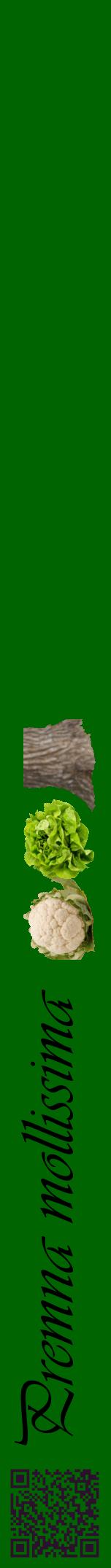 Étiquette de : Premna mollissima - format a - style noire8viv avec qrcode et comestibilité simplifiée