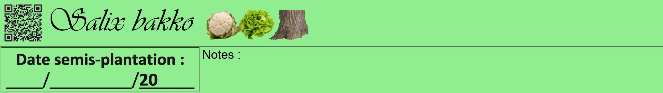 Étiquette de : Salix bakko - format a - style noire15viv avec qrcode et comestibilité simplifiée