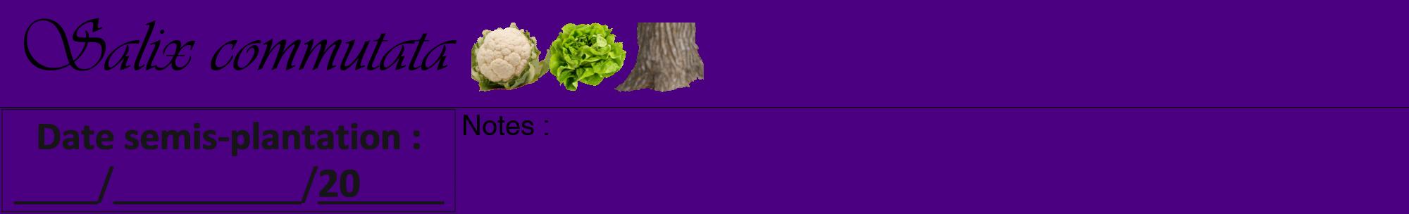 Étiquette de : Salix commutata - format a - style noire47viv avec comestibilité simplifiée