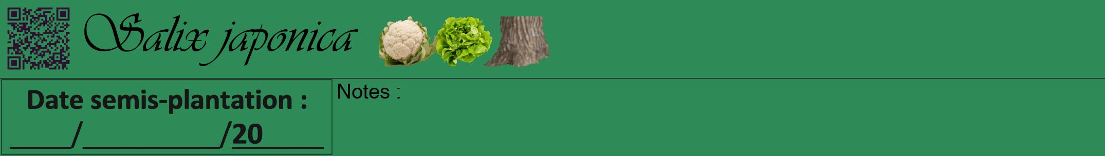 Étiquette de : Salix japonica - format a - style noire11viv avec qrcode et comestibilité simplifiée