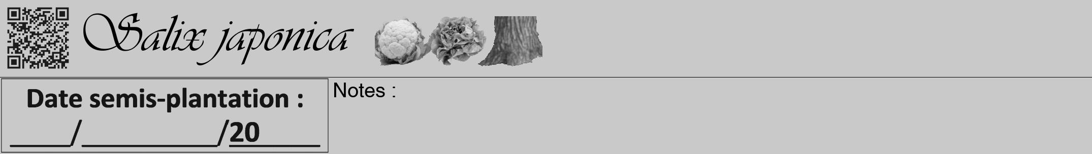 Étiquette de : Salix japonica - format a - style noire54viv avec qrcode et comestibilité simplifiée