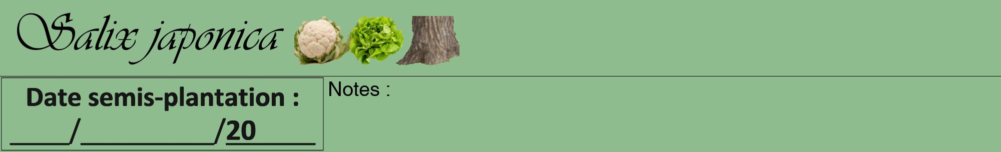 Étiquette de : Salix japonica - format a - style noire13viv avec comestibilité simplifiée
