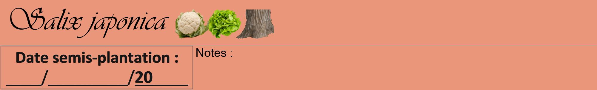 Étiquette de : Salix japonica - format a - style noire37viv avec comestibilité simplifiée