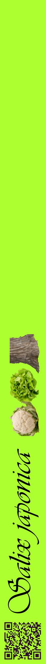 Étiquette de : Salix japonica - format a - style noire17viv avec qrcode et comestibilité simplifiée