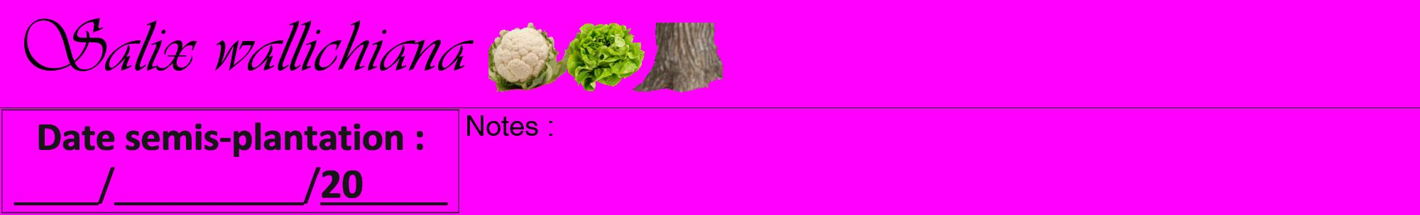 Étiquette de : Salix wallichiana - format a - style noire51viv avec comestibilité simplifiée
