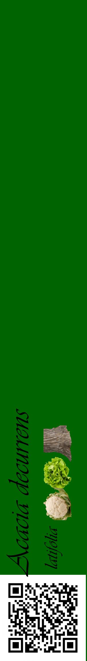 Étiquette de : Acacia decurrens latifolia - format c - style noire8basique_basique_basiqueviv avec qrcode et comestibilité simplifiée - position verticale