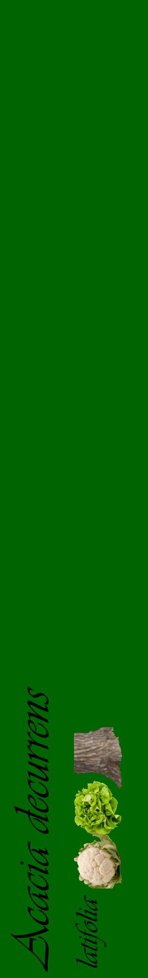 Étiquette de : Acacia decurrens latifolia - format c - style noire8_basiqueviv avec comestibilité simplifiée