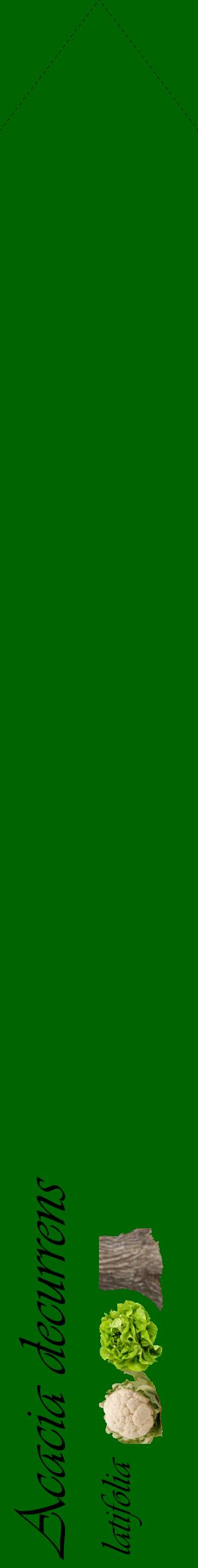 Étiquette de : Acacia decurrens latifolia - format c - style noire8_simpleviv avec comestibilité simplifiée