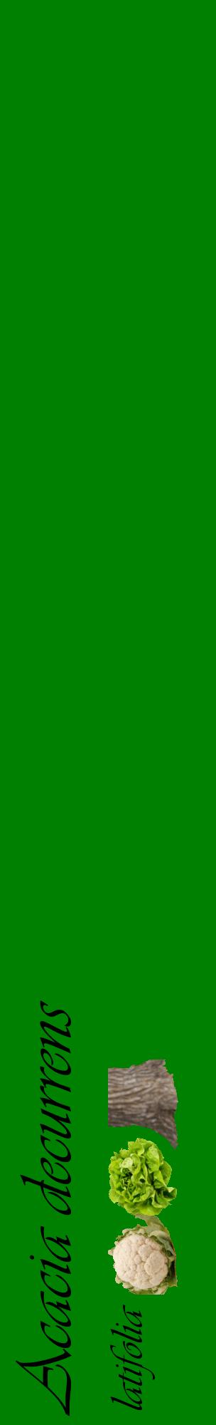 Étiquette de : Acacia decurrens latifolia - format c - style noire9_basiqueviv avec comestibilité simplifiée