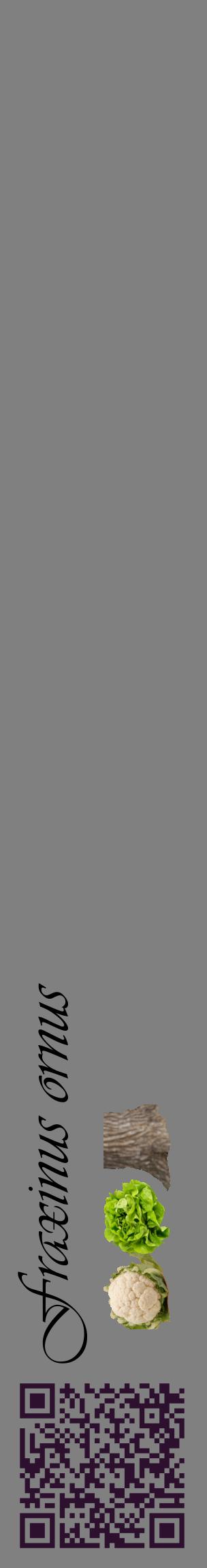 Étiquette de : Fraxinus ornus - format c - style noire57_basiqueviv avec qrcode et comestibilité simplifiée