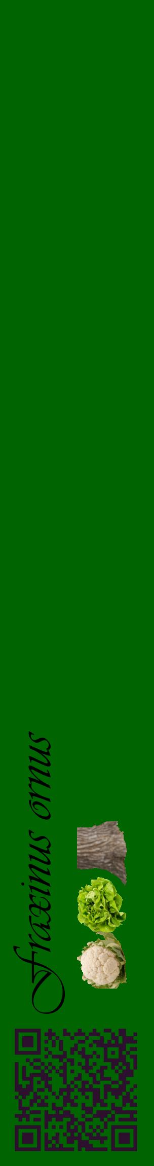 Étiquette de : Fraxinus ornus - format c - style noire8_basiqueviv avec qrcode et comestibilité simplifiée