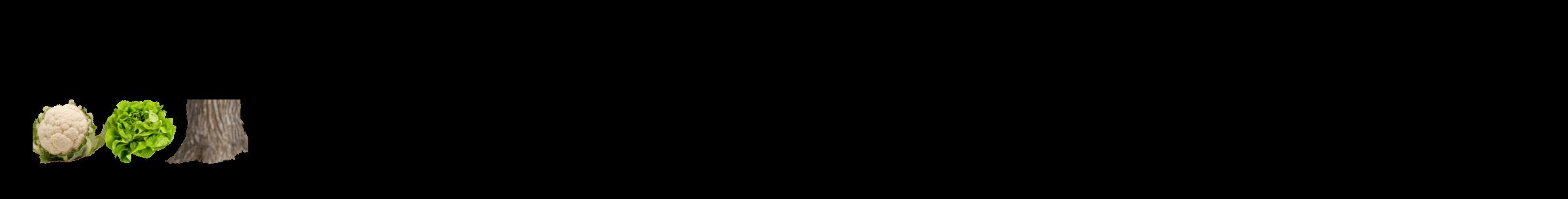 Étiquette de : Salix japonica - format c - style noire59_simple_simpleviv avec comestibilité simplifiée