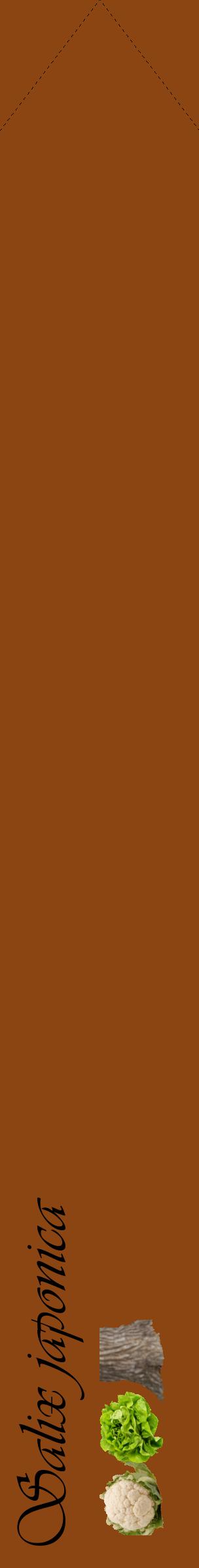 Étiquette de : Salix japonica - format c - style noire30_simpleviv avec comestibilité simplifiée