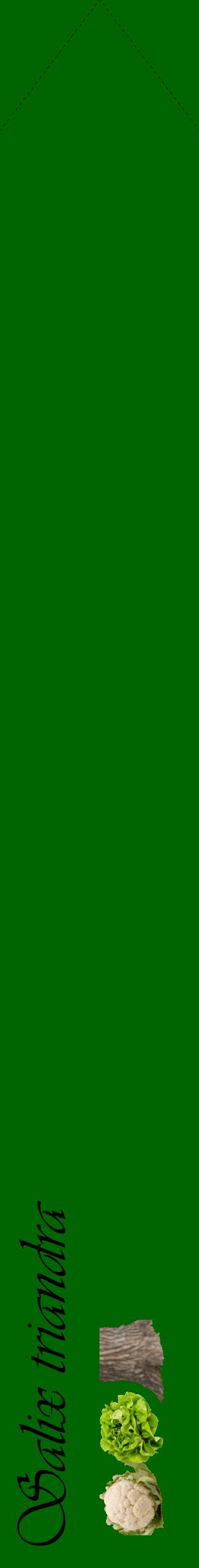 Étiquette de : Salix triandra - format c - style noire8_simpleviv avec comestibilité simplifiée