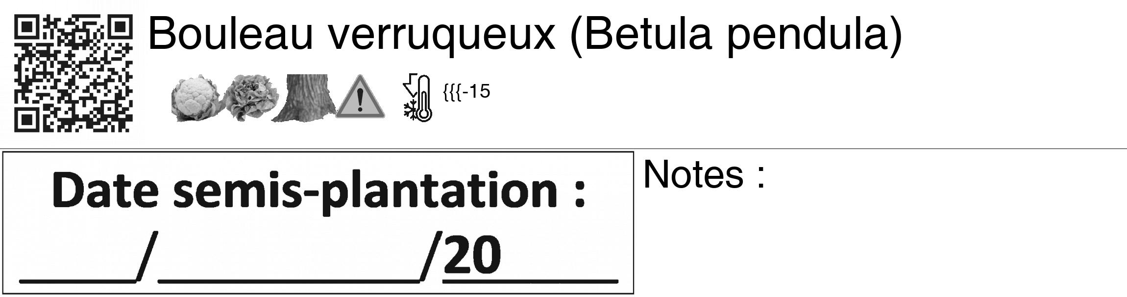 Étiquette de : Betula pendula - format c - style noire60_basiquegrrvhel avec qrcode et comestibilité simplifiée