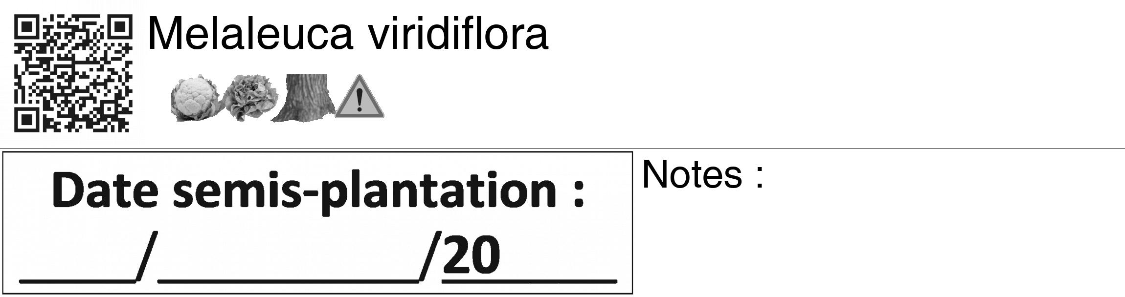 Étiquette de : Melaleuca viridiflora - format c - style noire60_basiquegrrvhel avec qrcode et comestibilité simplifiée
