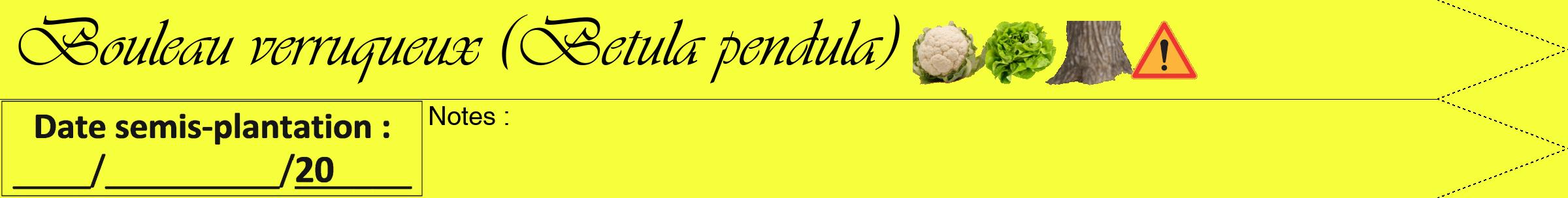Étiquette de : Betula pendula - format a - style noire18simpleviv avec comestibilité simplifiée