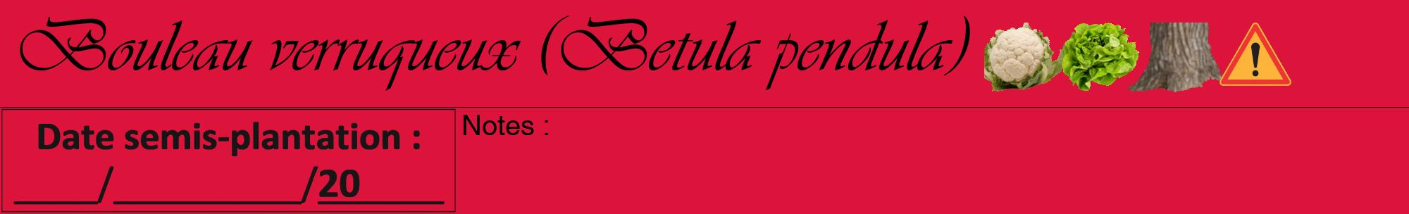 Étiquette de : Betula pendula - format a - style noire36viv avec comestibilité simplifiée