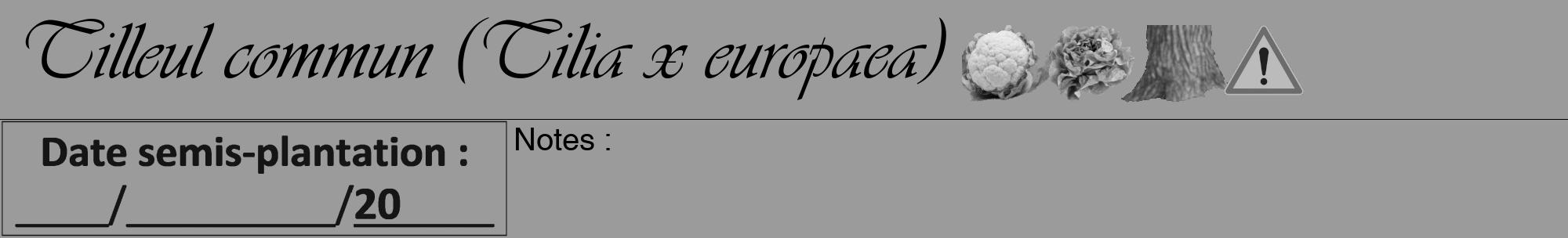 Étiquette de : Tilia x europaea - format a - style noire52viv avec comestibilité simplifiée