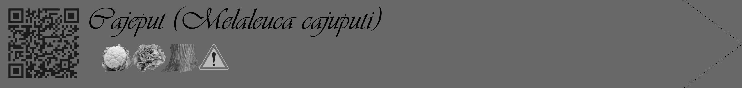 Étiquette de : Melaleuca cajuputi - format c - style noire43_simple_simpleviv avec qrcode et comestibilité simplifiée