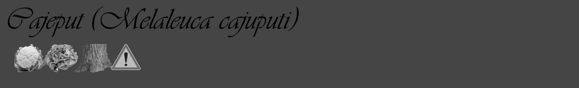 Étiquette de : Melaleuca cajuputi - format c - style noire58_basique_basiqueviv avec comestibilité simplifiée