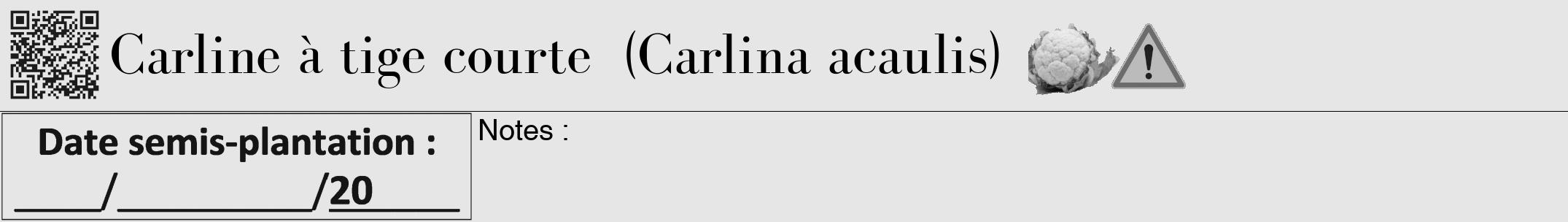 Étiquette de : Carlina acaulis - format a - style noire18bod avec qrcode et comestibilité simplifiée