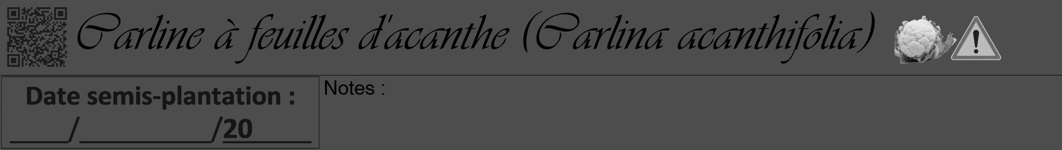 Étiquette de : Carlina acanthifolia - format a - style noire28viv avec qrcode et comestibilité simplifiée