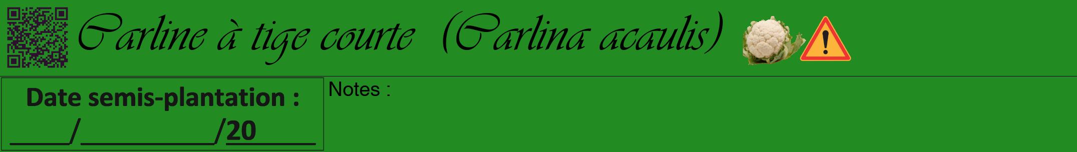Étiquette de : Carlina acaulis - format a - style noire10viv avec qrcode et comestibilité simplifiée