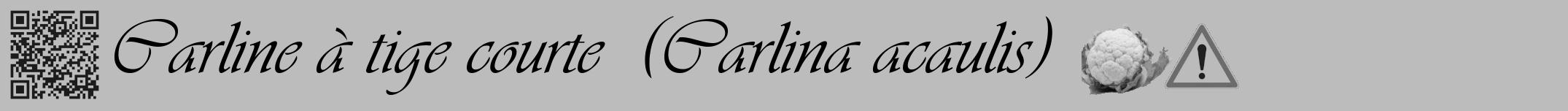 Étiquette de : Carlina acaulis - format a - style noire1viv avec qrcode et comestibilité simplifiée