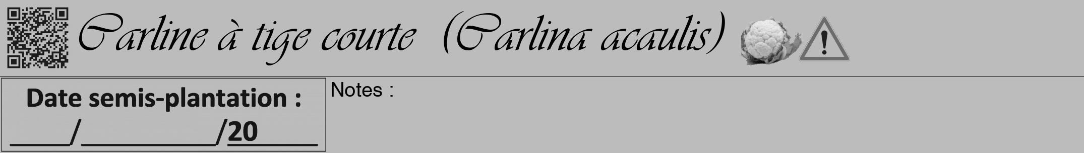 Étiquette de : Carlina acaulis - format a - style noire1viv avec qrcode et comestibilité simplifiée