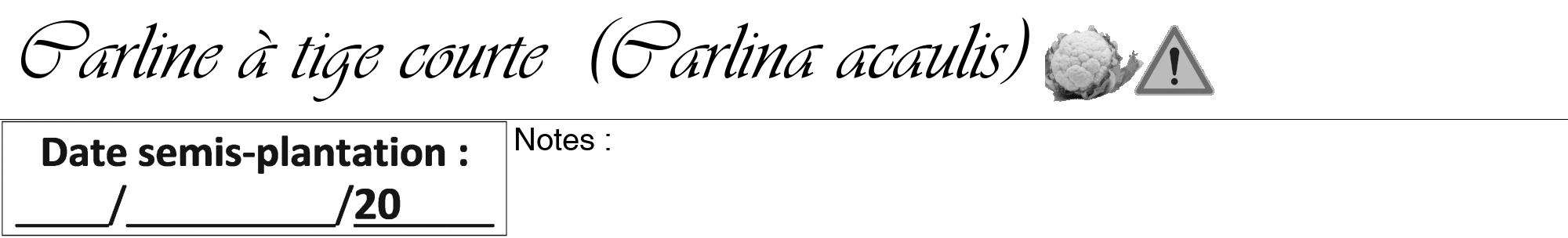 Étiquette de : Carlina acaulis - format a - style noire60viv avec comestibilité simplifiée