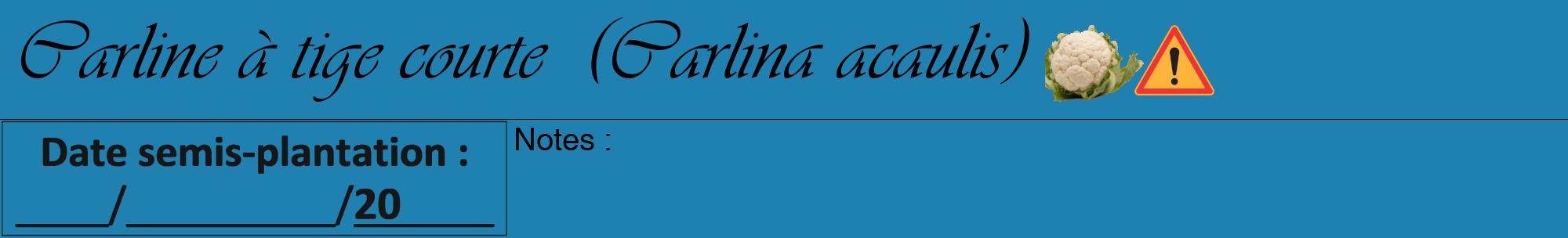 Étiquette de : Carlina acaulis - format a - style noire6viv avec comestibilité simplifiée