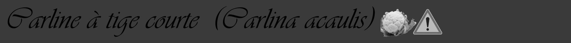 Étiquette de : Carlina acaulis - format a - style noire8viv avec comestibilité simplifiée