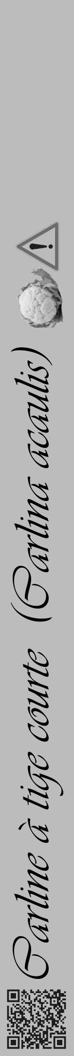 Étiquette de : Carlina acaulis - format a - style noire1viv avec qrcode et comestibilité simplifiée - position verticale