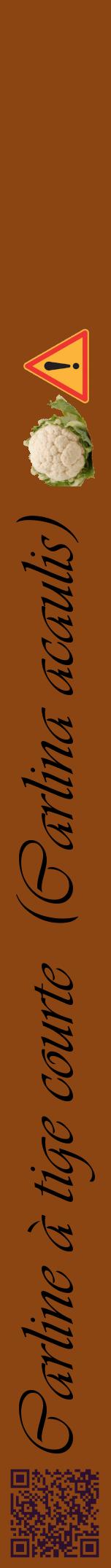 Étiquette de : Carlina acaulis - format a - style noire30viv avec qrcode et comestibilité simplifiée