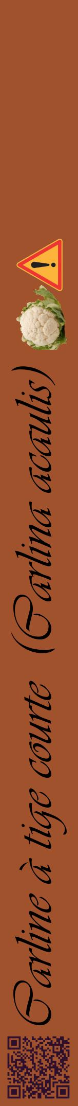 Étiquette de : Carlina acaulis - format a - style noire32viv avec qrcode et comestibilité simplifiée