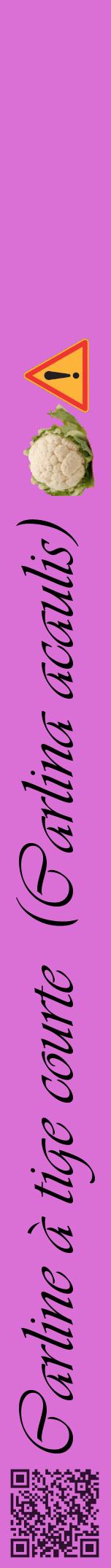 Étiquette de : Carlina acaulis - format a - style noire52viv avec qrcode et comestibilité simplifiée