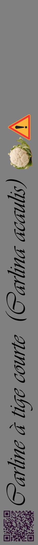 Étiquette de : Carlina acaulis - format a - style noire57viv avec qrcode et comestibilité simplifiée