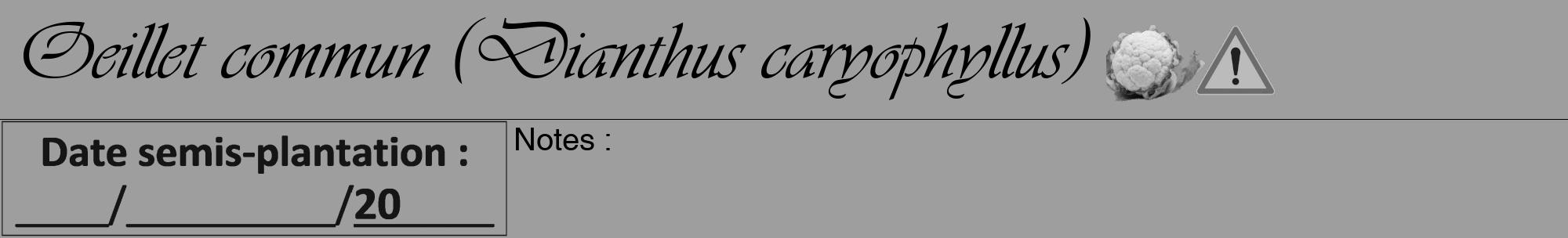 Étiquette de : Dianthus caryophyllus - format a - style noire42viv avec comestibilité simplifiée