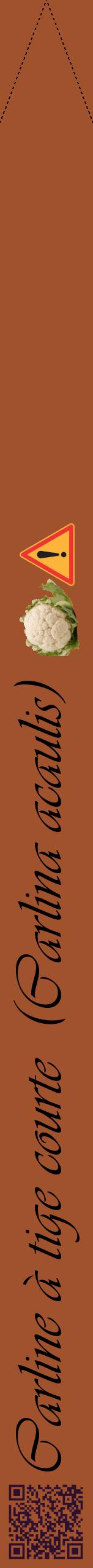 Étiquette de : Carlina acaulis - format b - style noire32viv avec qrcode et comestibilité simplifiée