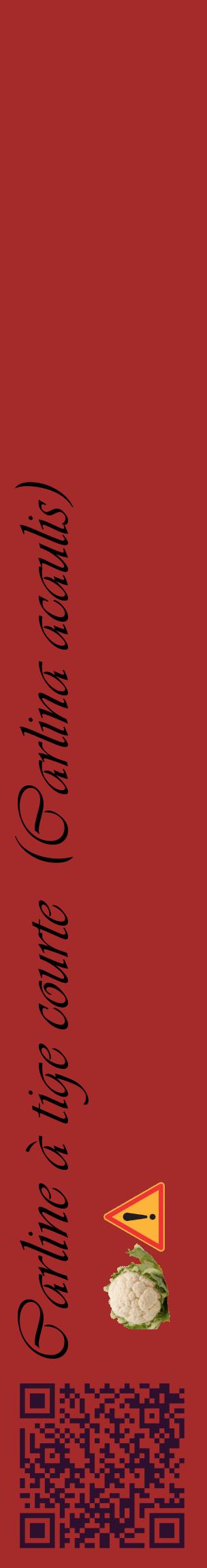 Étiquette de : Carlina acaulis - format c - style noire33_basiqueviv avec qrcode et comestibilité simplifiée